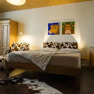Kuh Apartment Bolsterlang
